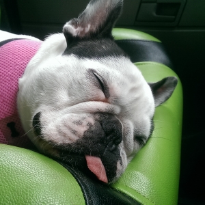 loulou1
