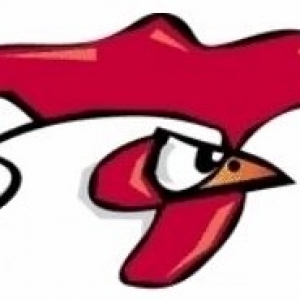 rooster45