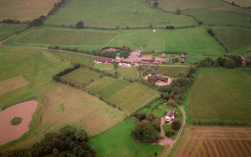 Halfpenny Green Vineyard