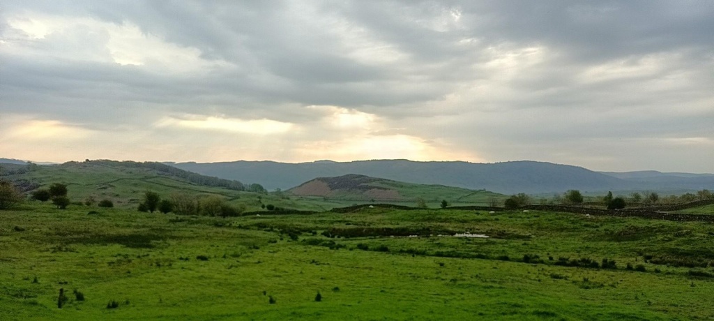 Abbott Park farm campsite